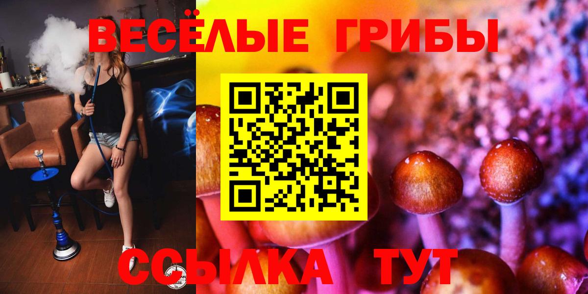 Приморско-Ахтарск  Галлюциногенные грибы GOLDEN TEACHER  Галлюциногенные грибы мухоморы  где найти наркотики  Вход с VPN 