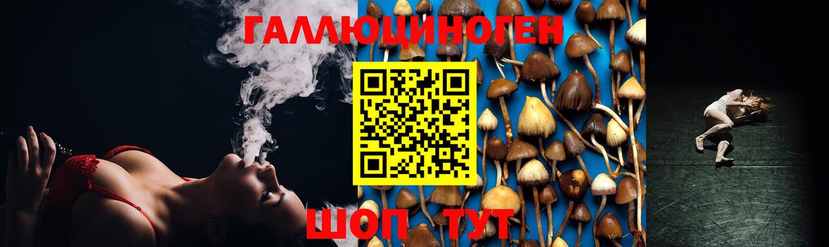 Галлюциногенные грибы Psilocybe Приморско-Ахтарск
